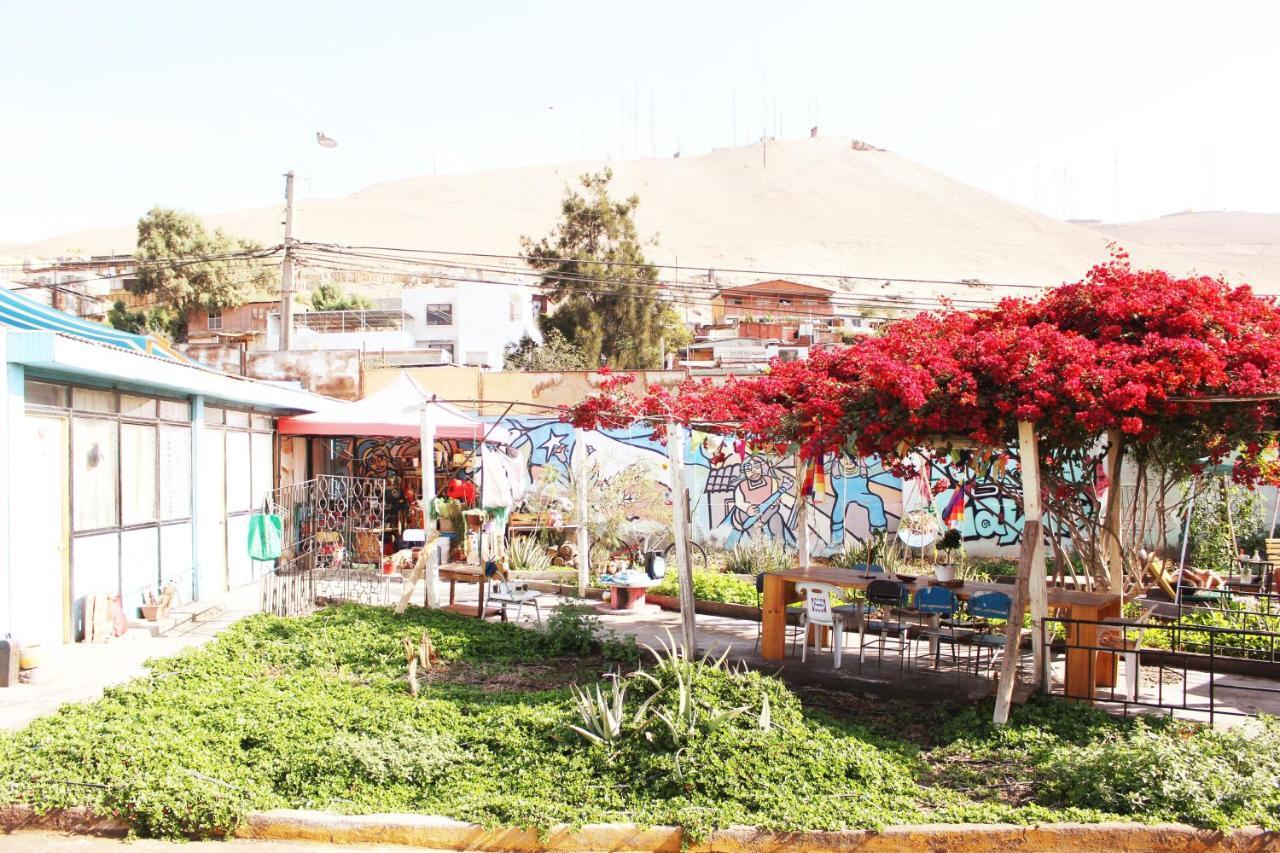 Hostel La Posada Gallo Арика Екстериор снимка